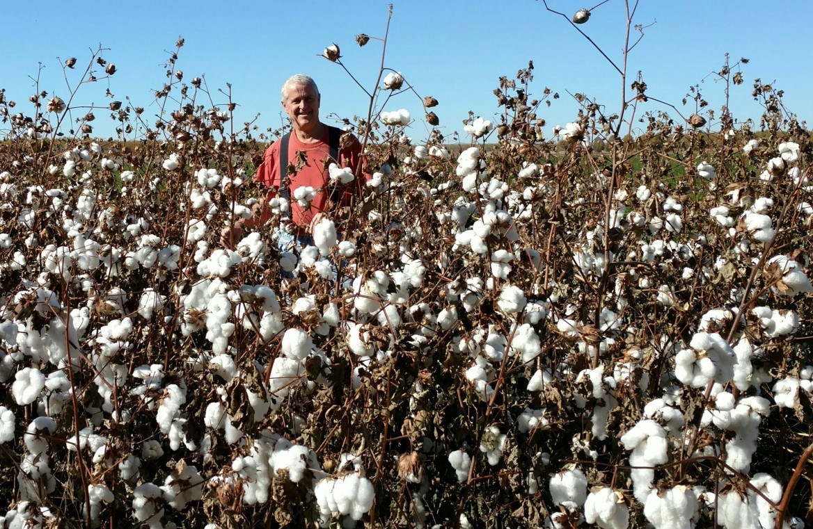 Dr. David Johnson standing outside with his cotton crop