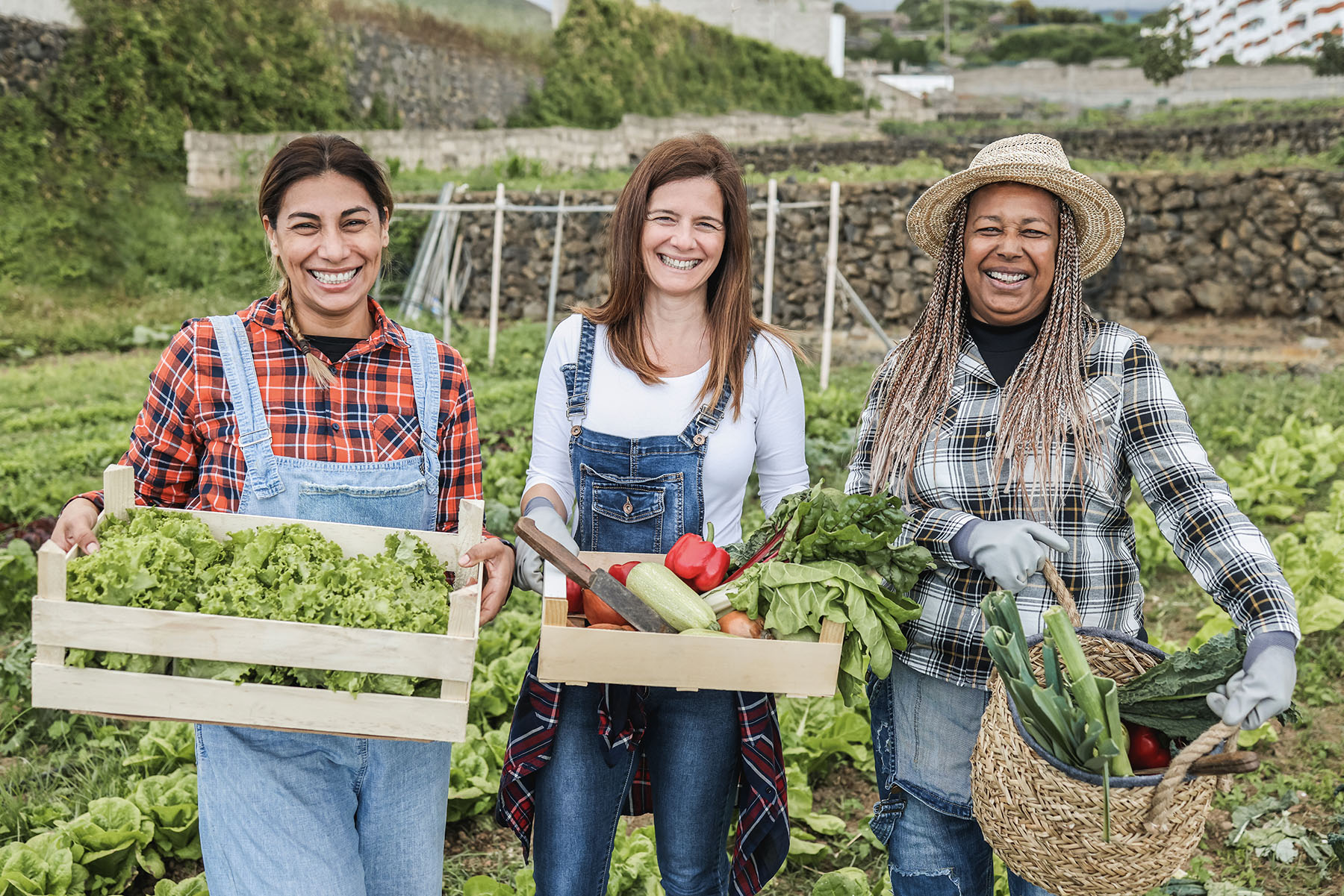 multiracial women farmers holding baskets of vegetables