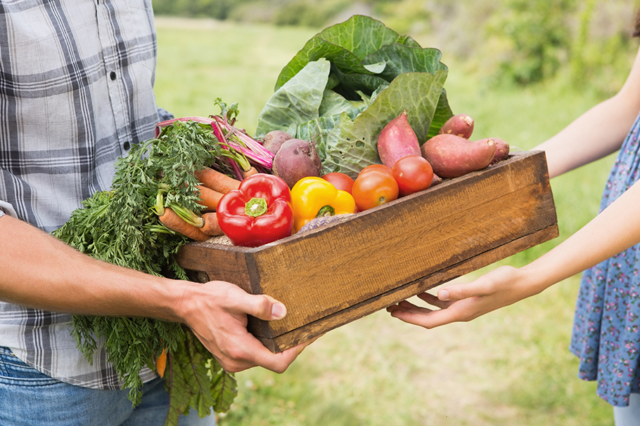 farmer hands a box of vegetables to a customer