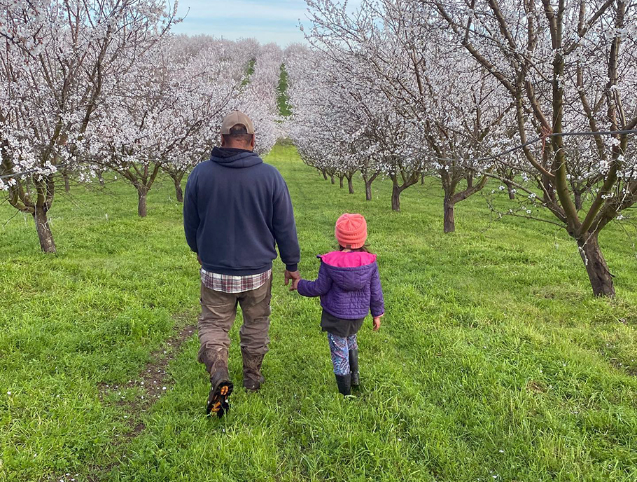 People walking in the Almond Orchard atBurroughs Family Farms
