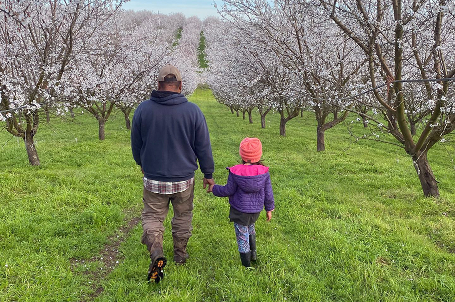 People walking in the Almond Orchard atBurroughs Family Farms