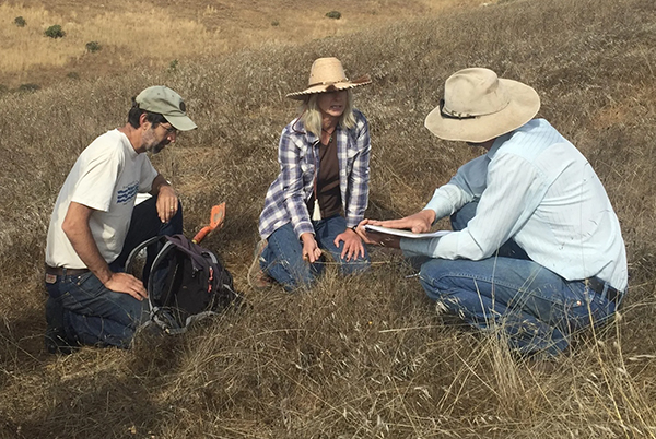 carbon planner meeting with farmers in a field
