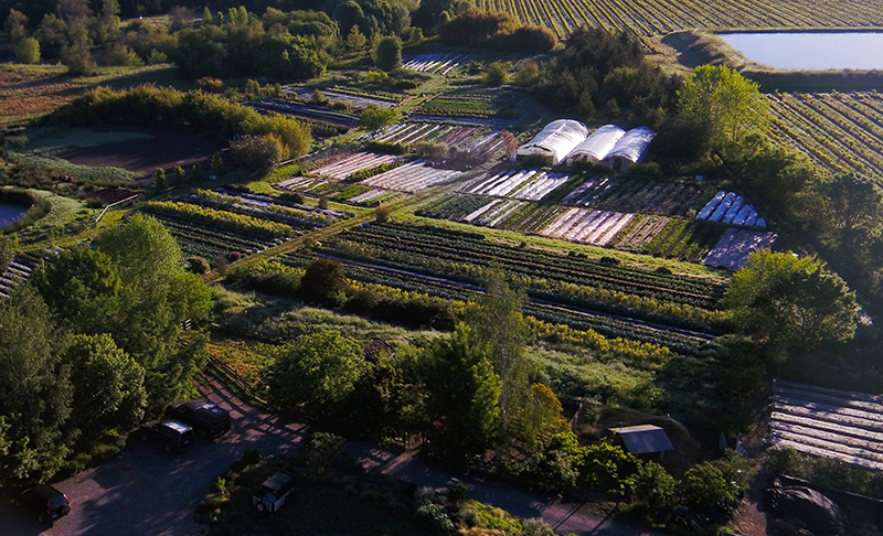 Singing Frogs Farm aerial view