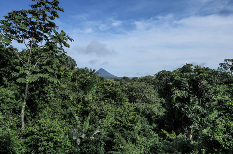 View of the rainforest from Finca Luna Nueva in Costa Rica.