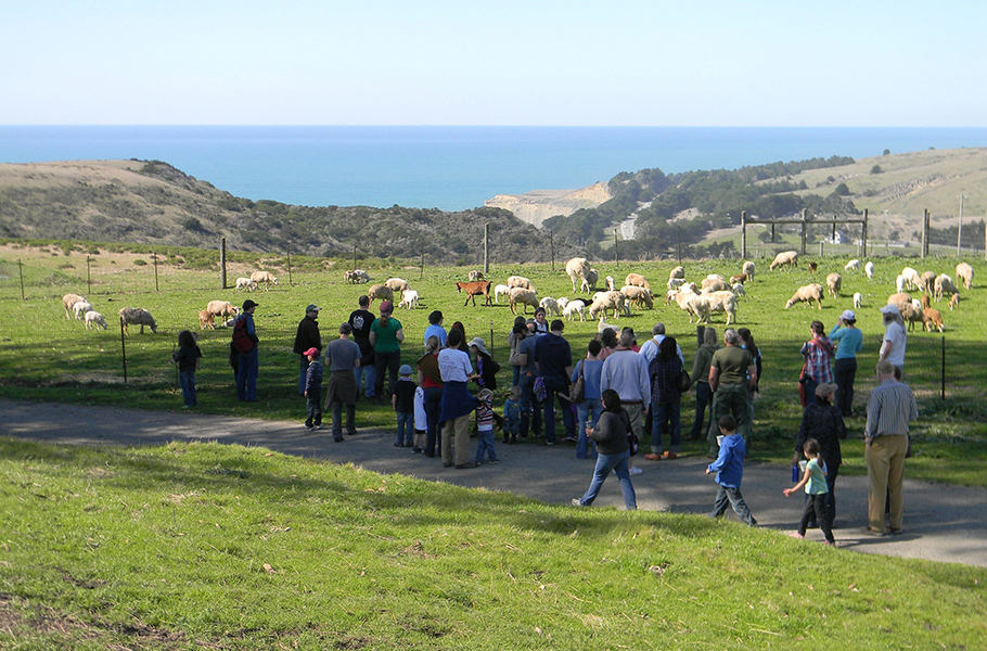 People attending a farm tour at Markegard Family Grassfed.