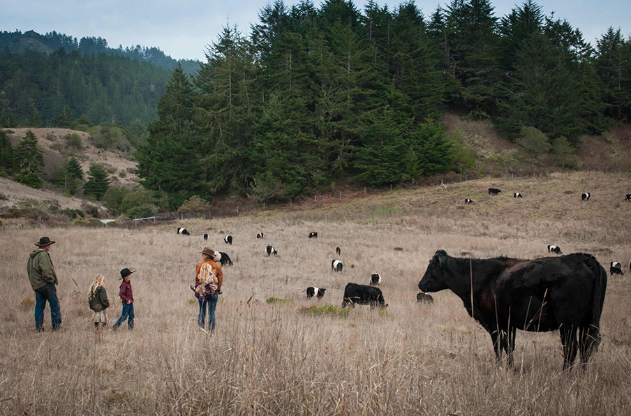 The Markegard Family on the ranch with cattle.
