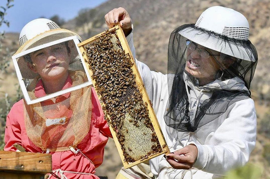 Alisha Taff and daughter examining the condition of the hives.