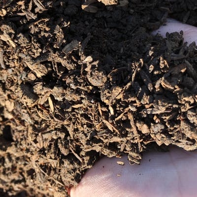 Compost is held in hands.