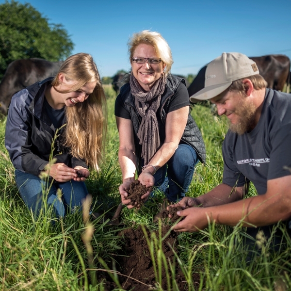 Cindy Daley kneels on the ground with two students beside her examining soil in the middle of cows grazing.