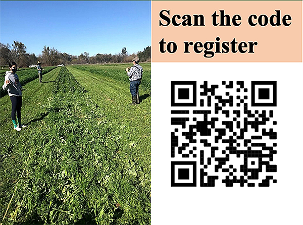 Fava bean field and scan code