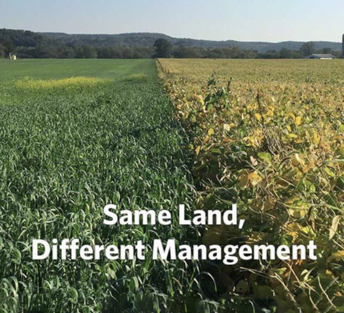 two different fields side by side with the words "same land, different management"