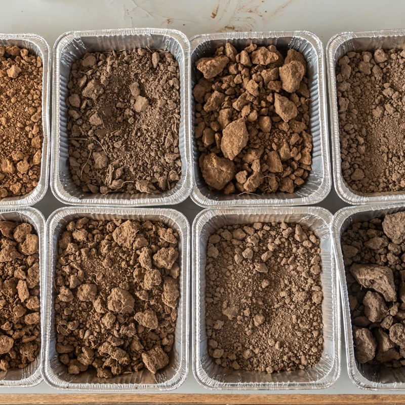 Soil samples in the Soil Rad Lab