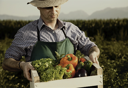 farmer with crate of vegetables