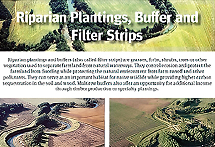 Riparian and Filter Strip Fact Sheet