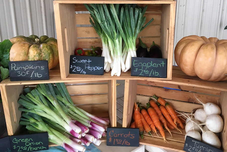 The OVP Farmstand at the University Farm
