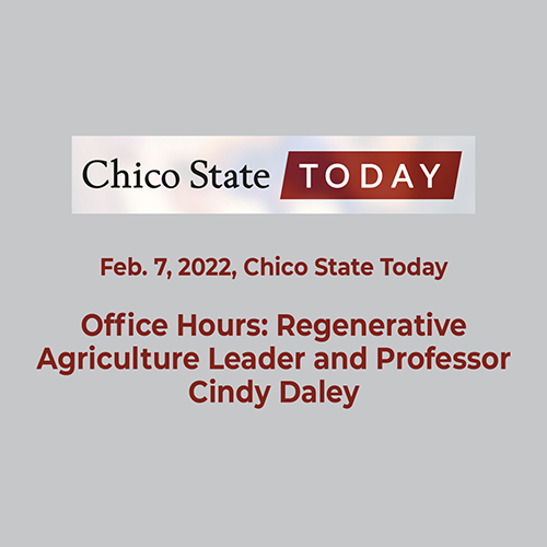 feb 7 Chico State Today