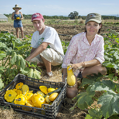 students picking squash in the field