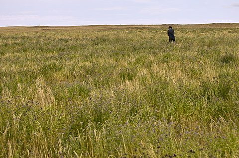 person in tall grass