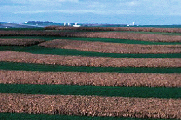 fields showing crop rotation