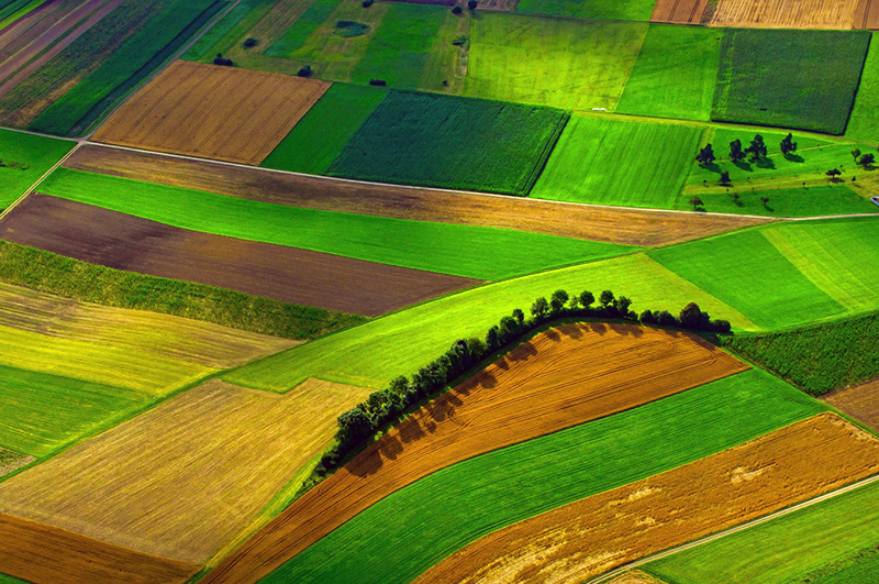Aerial view of farmland showing a patchwork of different crops