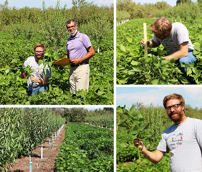 Multiple photo collage showing Kyle Brasier and Hossein Zakeri in the bean field