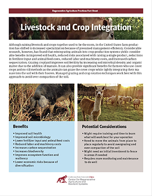 Livestock and Crop Integration – Center for Regenerative Agriculture and  Resilient Systems – Chico State
