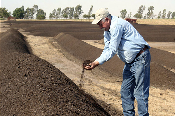farmer examining compost made in rows