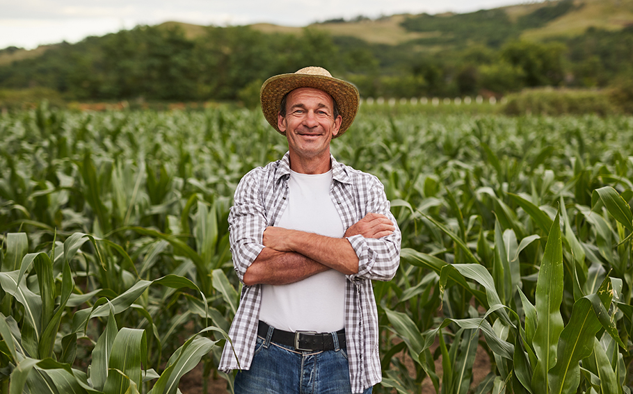 farmer in a cornfield