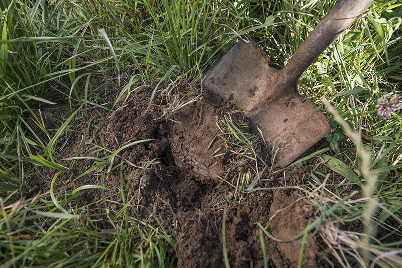 A shovel of soil