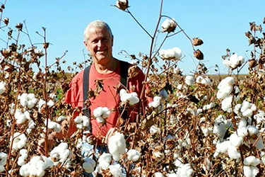 Dr. David Johnson in his cotton field
