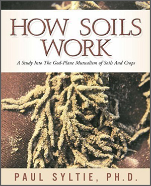 bookcover of How Soils Work