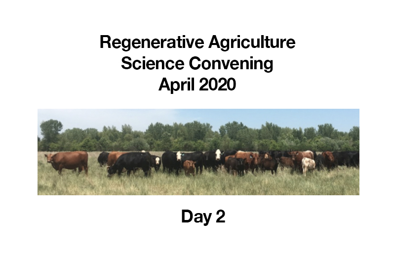 cows grazing with words Regenerative Agriculture Science Convening April 2020 Day 2