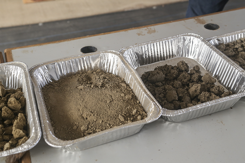 soil samples in pans