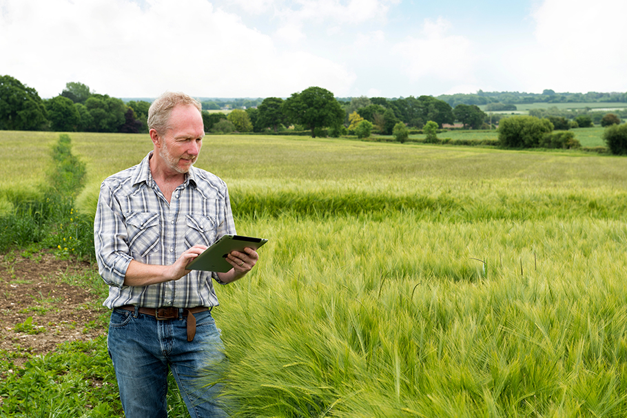 farmer using an iPad in a field