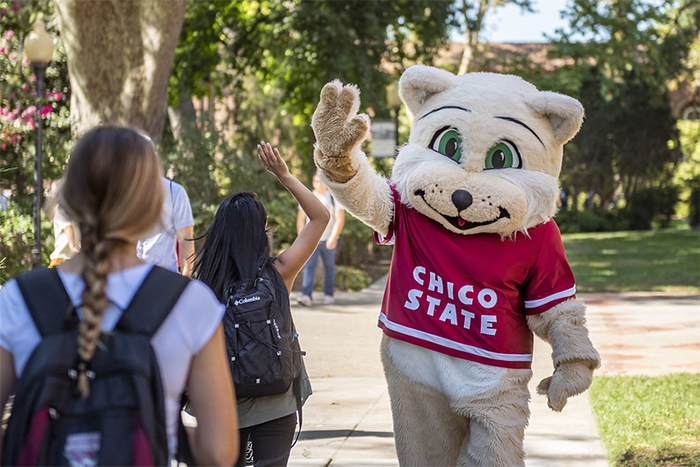 Willie the Wildcat giving high fives to students.
