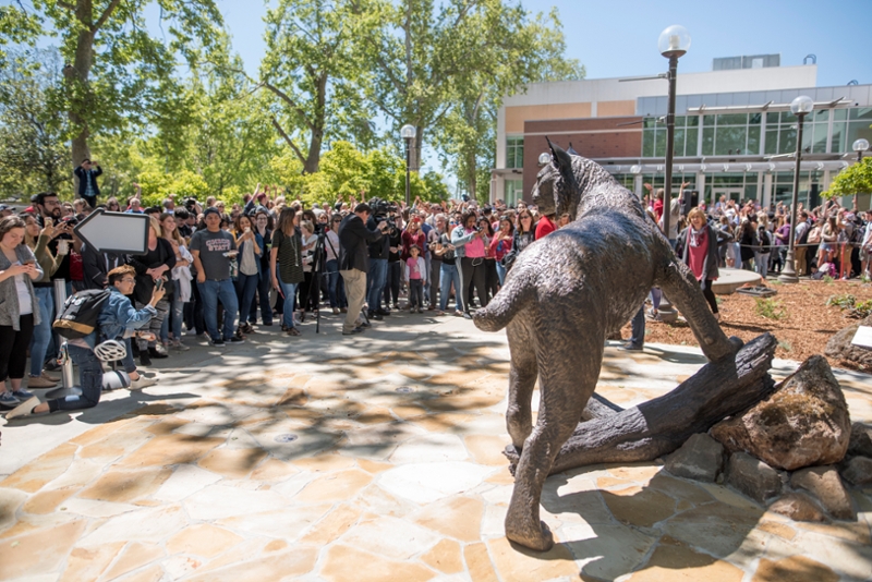 campus community gathered by the wildcat statue