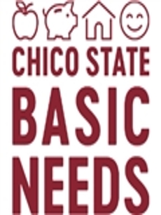basic needs