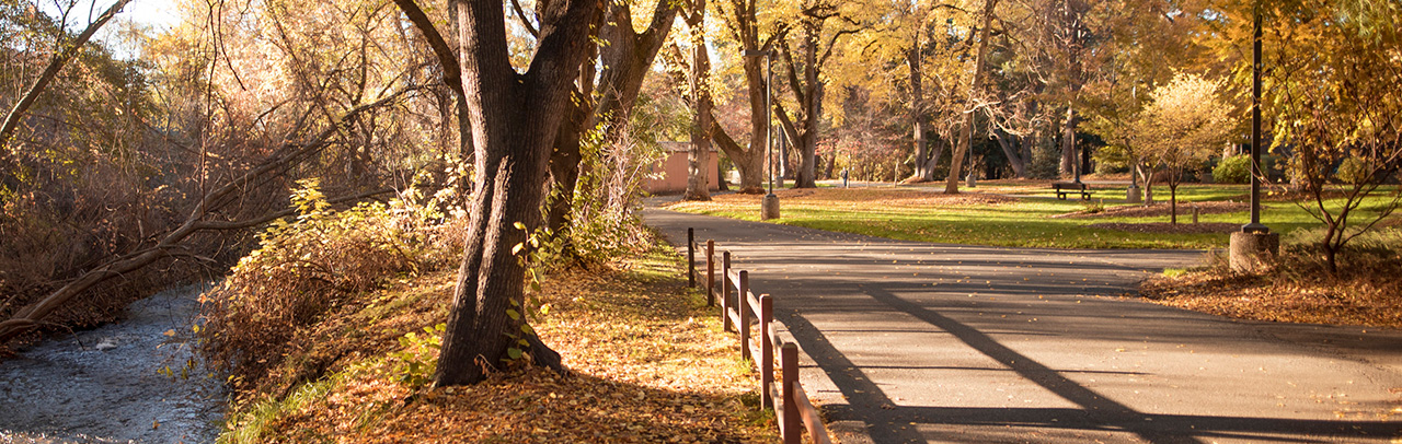 Pathway on campus during fall