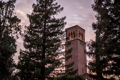 Chico State's Bell Tower