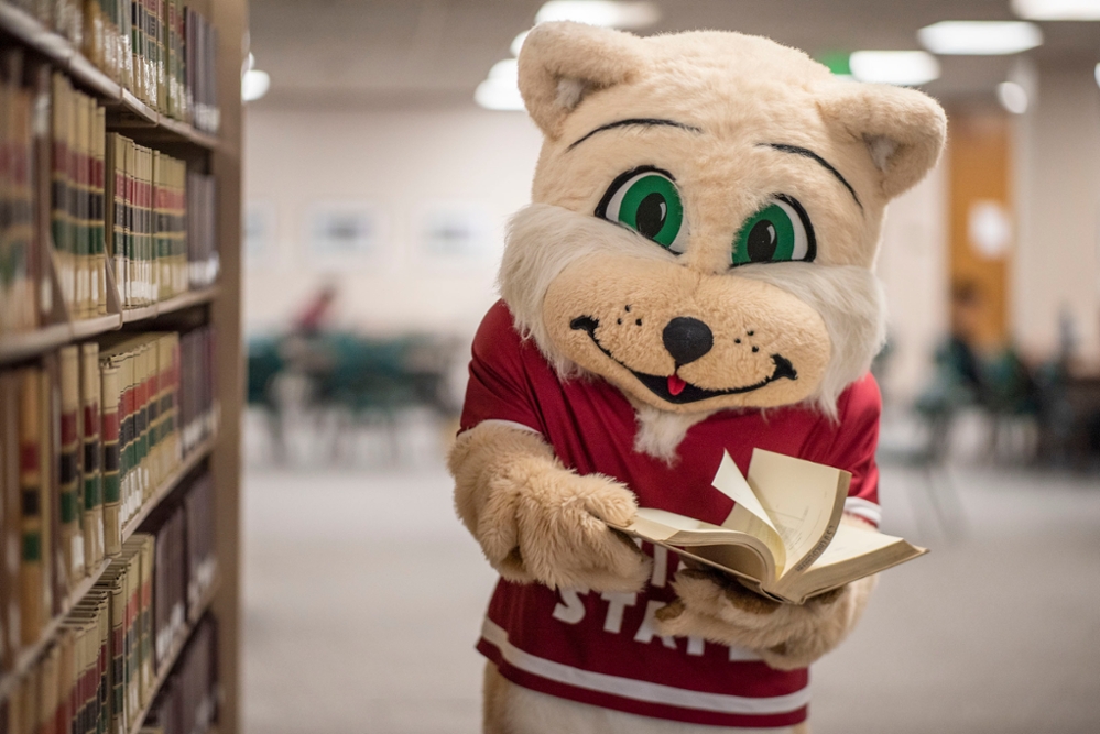 Willie the Wildcat in the library