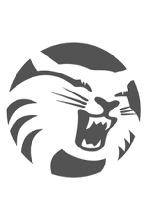wildcat logo