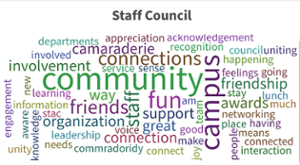 words of what staff council means to staff council members