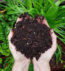 compost dirt
