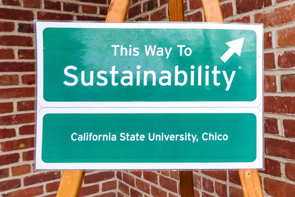 This Way to Sustainability Sign