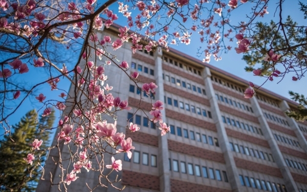 Spring trees in front of Butte hall
