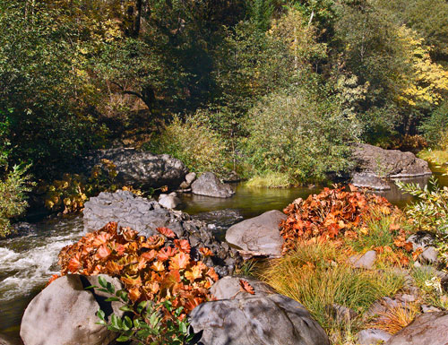 Big Chico Creek ecological reserve