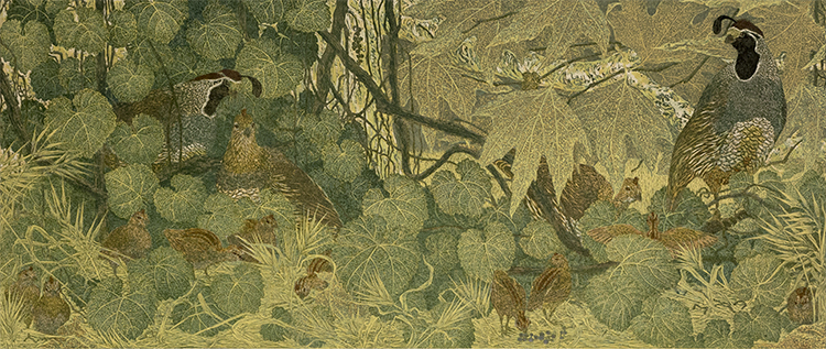 Janet Turner, “Quail Amid the Wild Grapes”, relief/serigraph