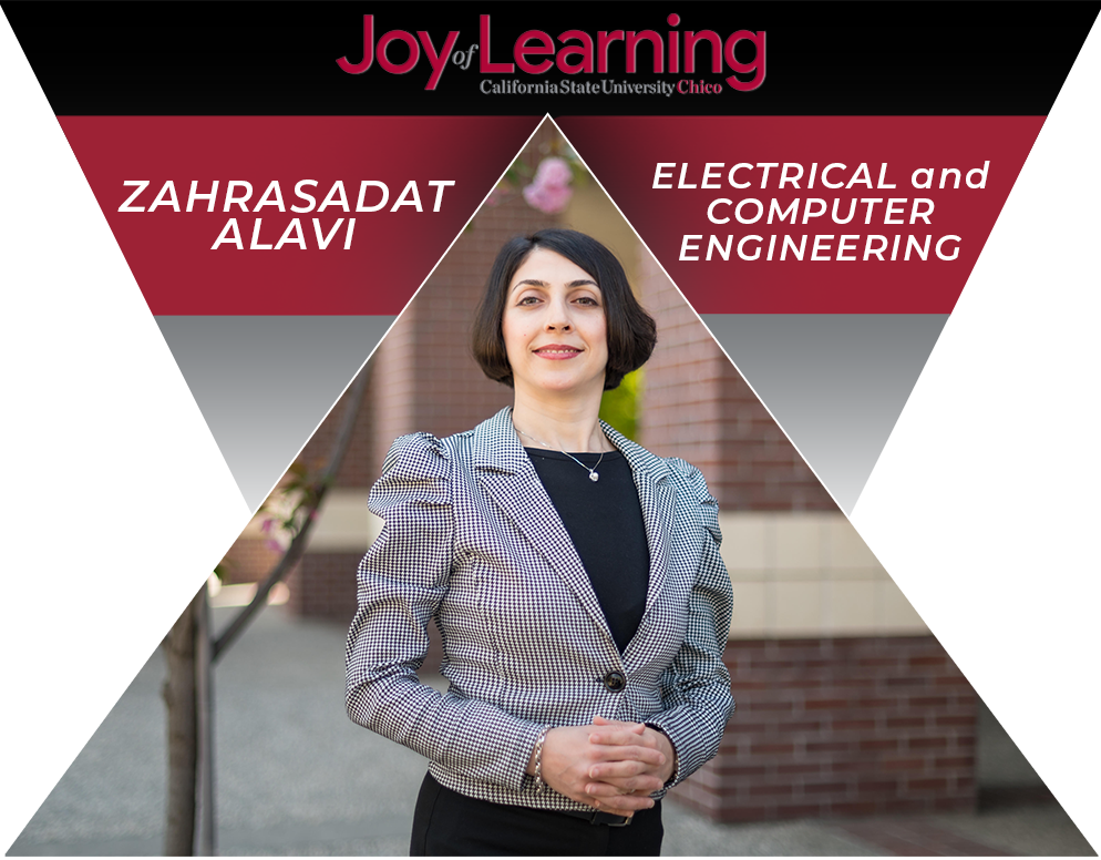 Joy of Learning Zahrasadat Alavi