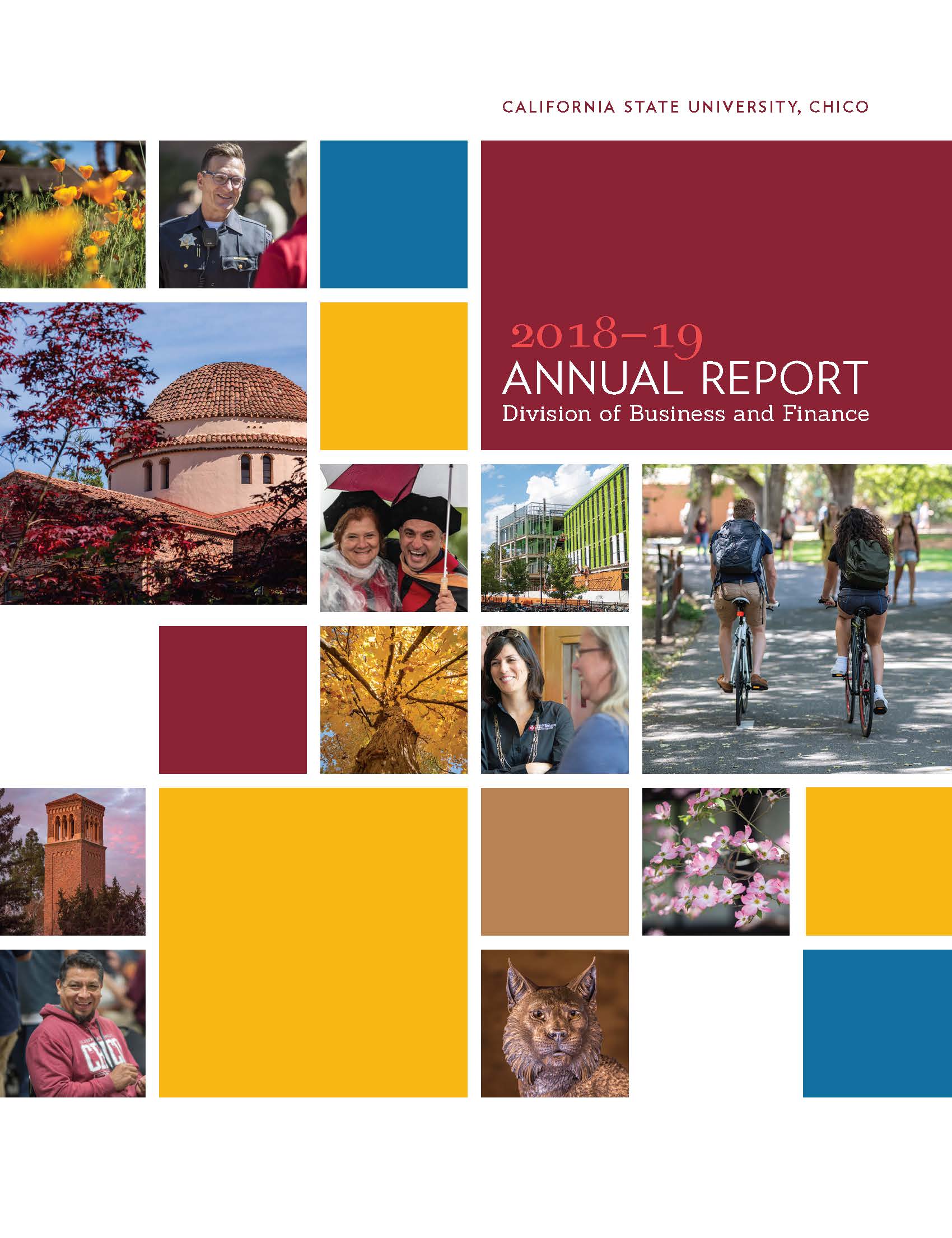 cover of 2018-19 annual report