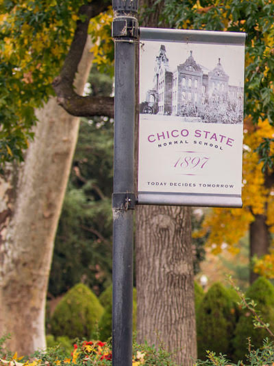 Chico State banner on campus among green trees
